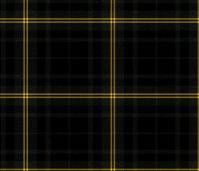 Tanfield School Bespoke Tartan Stitch Down Pleated Skirt